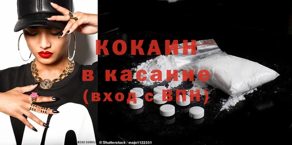 шишки Нягань