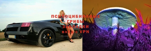 тгк Новозыбков