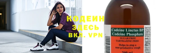 шишки Нягань