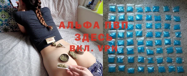 шишки Нягань
